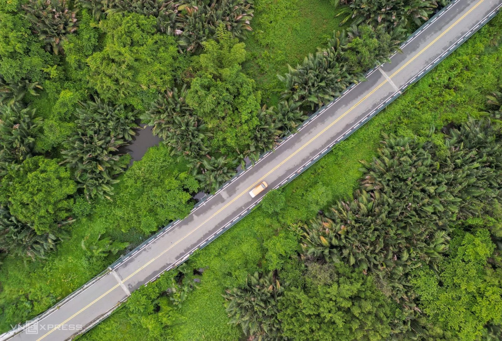 Lá phổi xanh của Thủ Thiêm